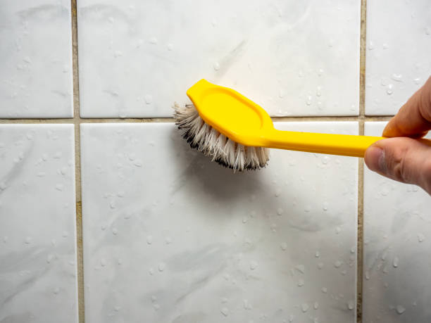 Best Mold Damage Repair  in Scappoose, OR