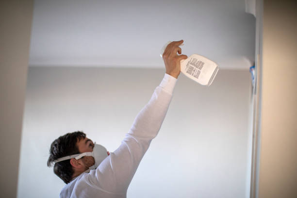 Best Affordable Mold Removal  in Scappoose, OR